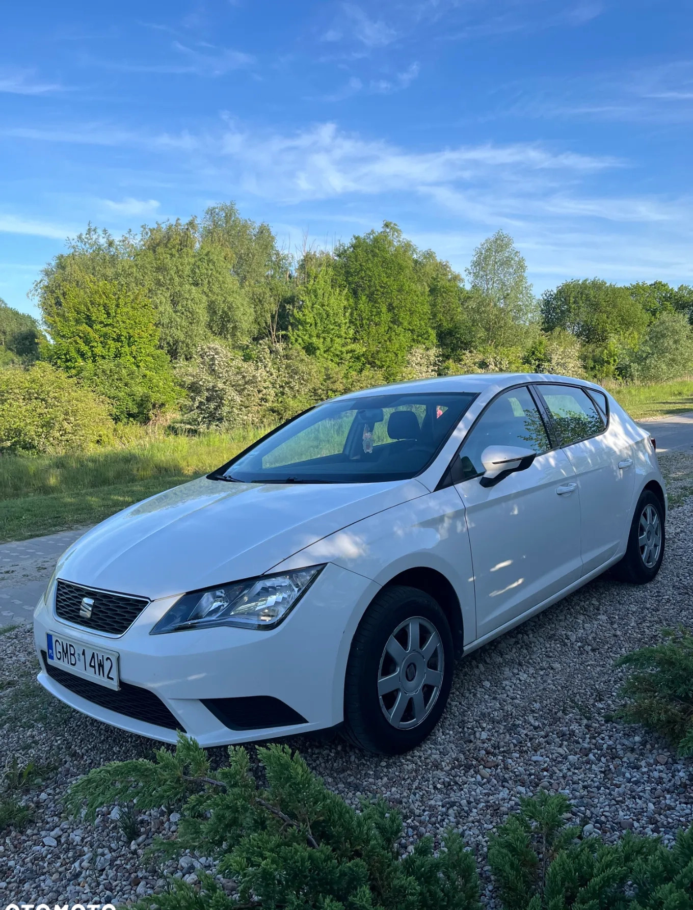 Seat Leon cena 26000 przebieg: 187743, rok produkcji 2013 z Malbork małe 37
